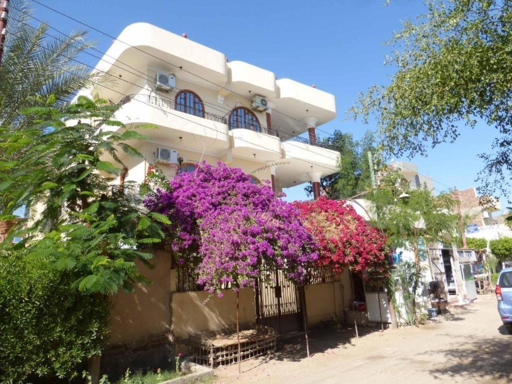 Nile View Panoramique And Garden West Bank Apartment Luxor Bagian luar foto