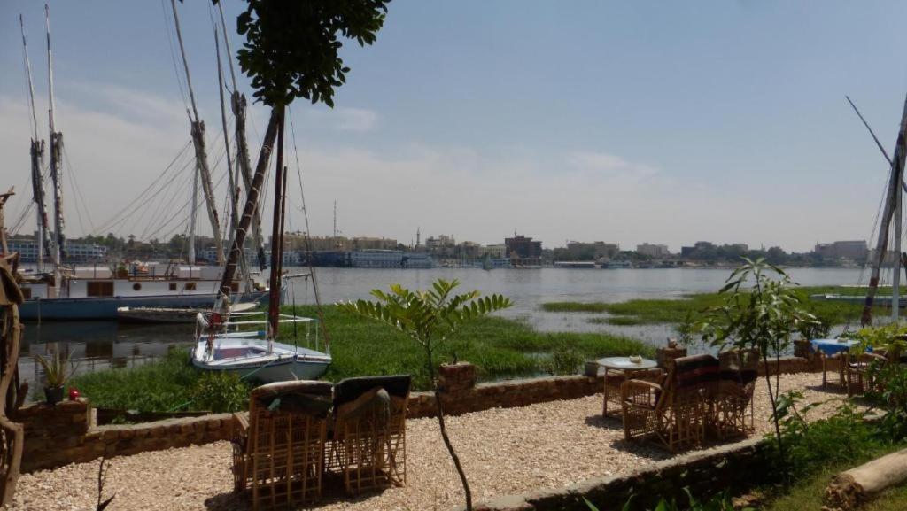 Nile View Panoramique And Garden West Bank Apartment Luxor Bagian luar foto