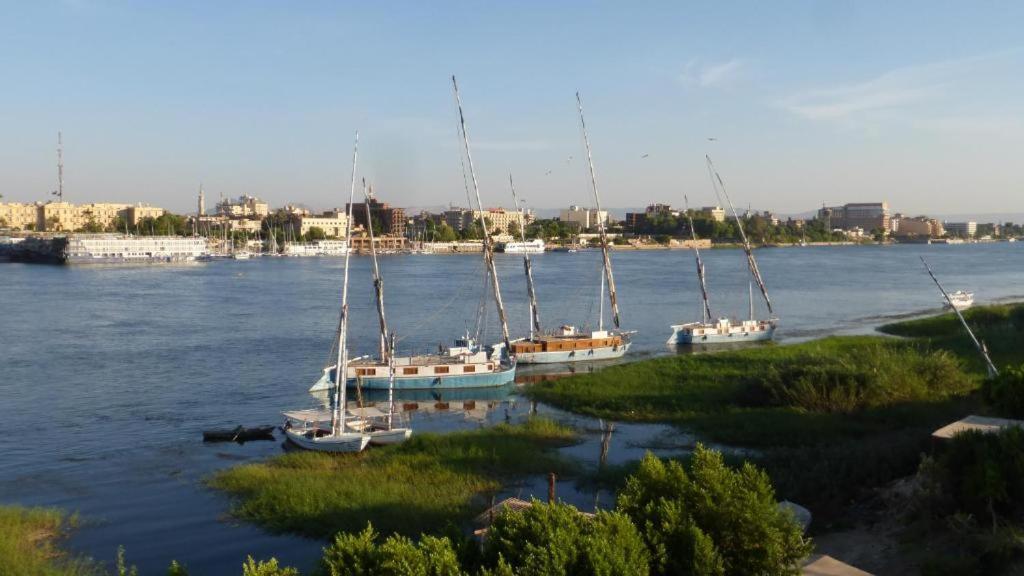 Nile View Panoramique And Garden West Bank Apartment Luxor Bagian luar foto