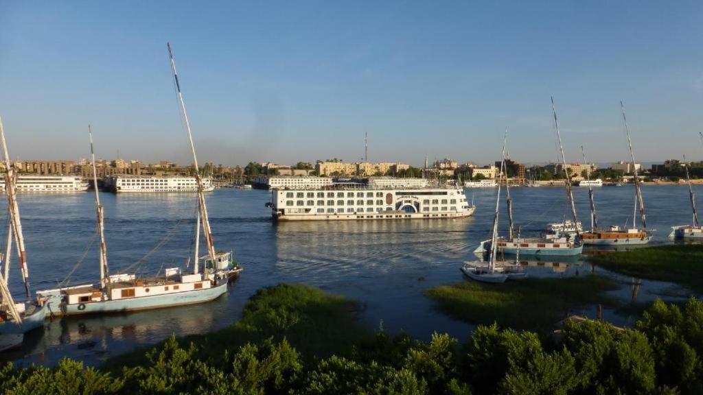 Nile View Panoramique And Garden West Bank Apartment Luxor Bagian luar foto